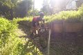 20180707-180858_pau