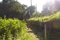 20180707-180929_pau