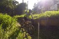 20180707-180959_pau