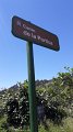 IMG-20220709-WA0003