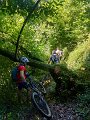 IMG-20220712-WA0005