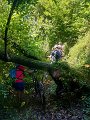 IMG-20220712-WA0007